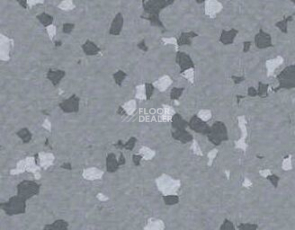 Линолеум Taralay Premium Brazilia 3709 Caera фото 1 | FLOORDEALER